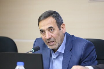 ضرورت سیاست‌گذاری‌های جدید درآمدی و حفظ مشاغل پایین دست