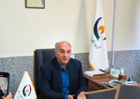 توانایی بخش خصوصی در تامین ۷۰ درصد نیاز وارداتی بنزین و گازوئیل