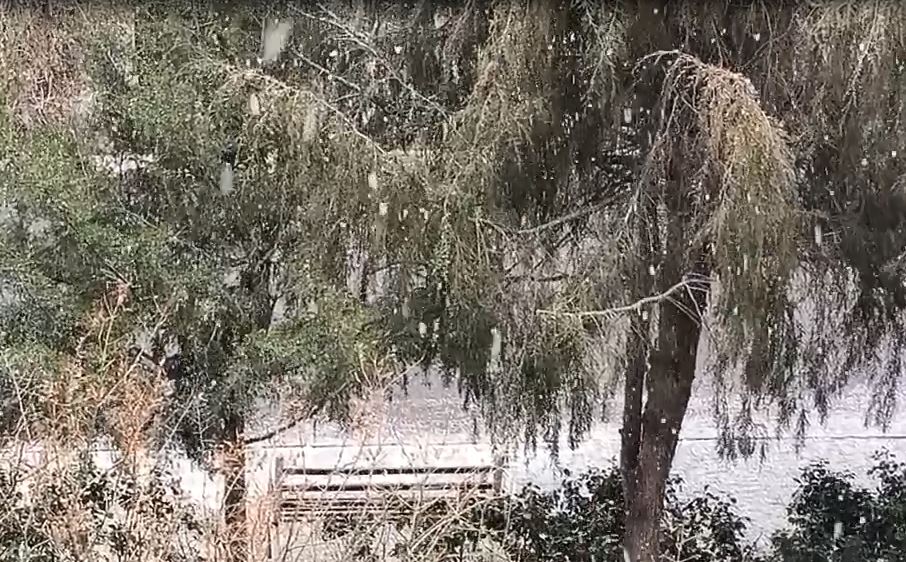 سرمای شدید با نوروز به ایران می‌آید!