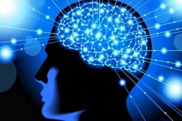 ذهن انسان چگونه برای تأثیرگذاری برنامه‌ریزی می‌کند؟