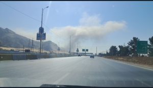 صهیونیست‌ها