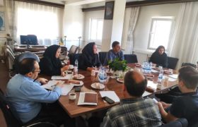 آغاز پایش اتصال و انتشار سرویس‌های مکانی ژئوپورتال‌های استانی