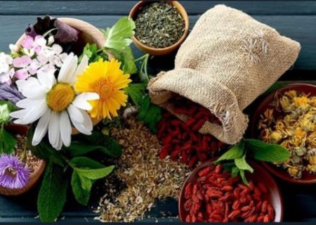 دانشگاه تبریز؛ پل ارتباطی منطقه‌ای برای توسعه گیاهان دارویی و طب سنتی