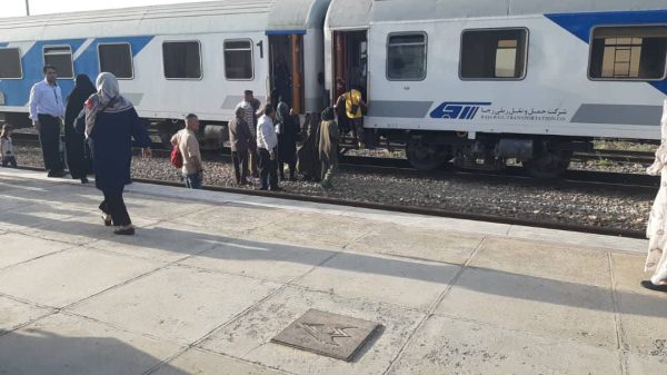 فیلم|تلف شدن ۵۰ گوسفند در برخورد قطار با گله در مراغه