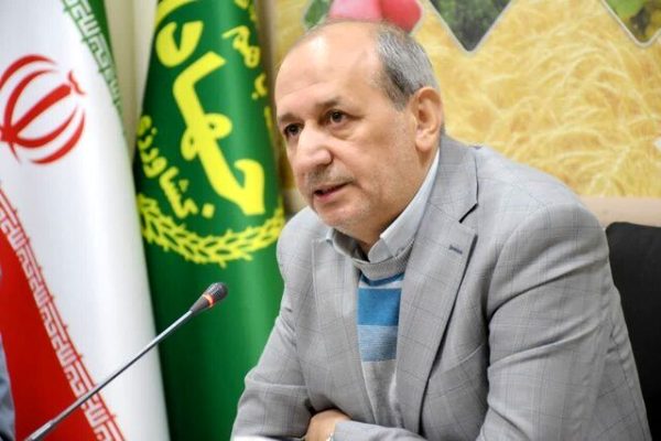 آذربایجان شرقی رتبه نخست تولید سنجد در کشور