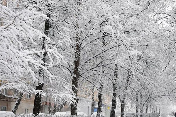 هشدار کاهش ۱۰ درجه‌ای دما در آذربایجان‌شرقی