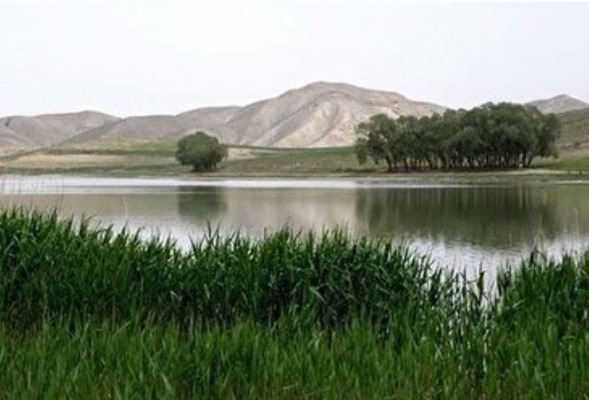 افزایش ۲۷ سانتیمتری تراز آبی تالاب قوری گول بستان آباد
