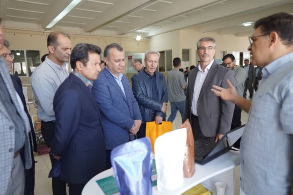 تولید