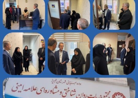 توسعه مشاوره آنلاین و تسهیل دسترسی مردم در بهزیستی
