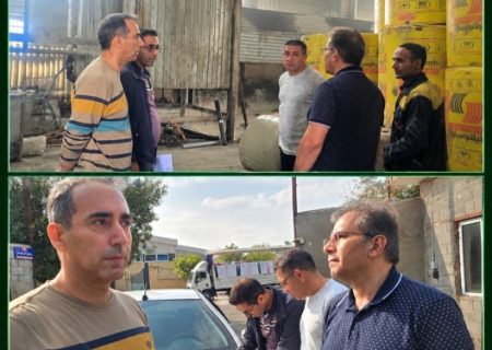 پایش میدانی واحدهای شهرک صنعتی هاشمی رفسنجانی با هدف کنترل آلایندگی